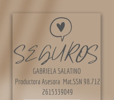 Seguros Gabriela Salatino