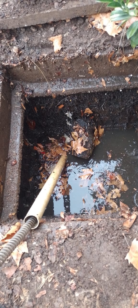 Destapes Gerardo - 2