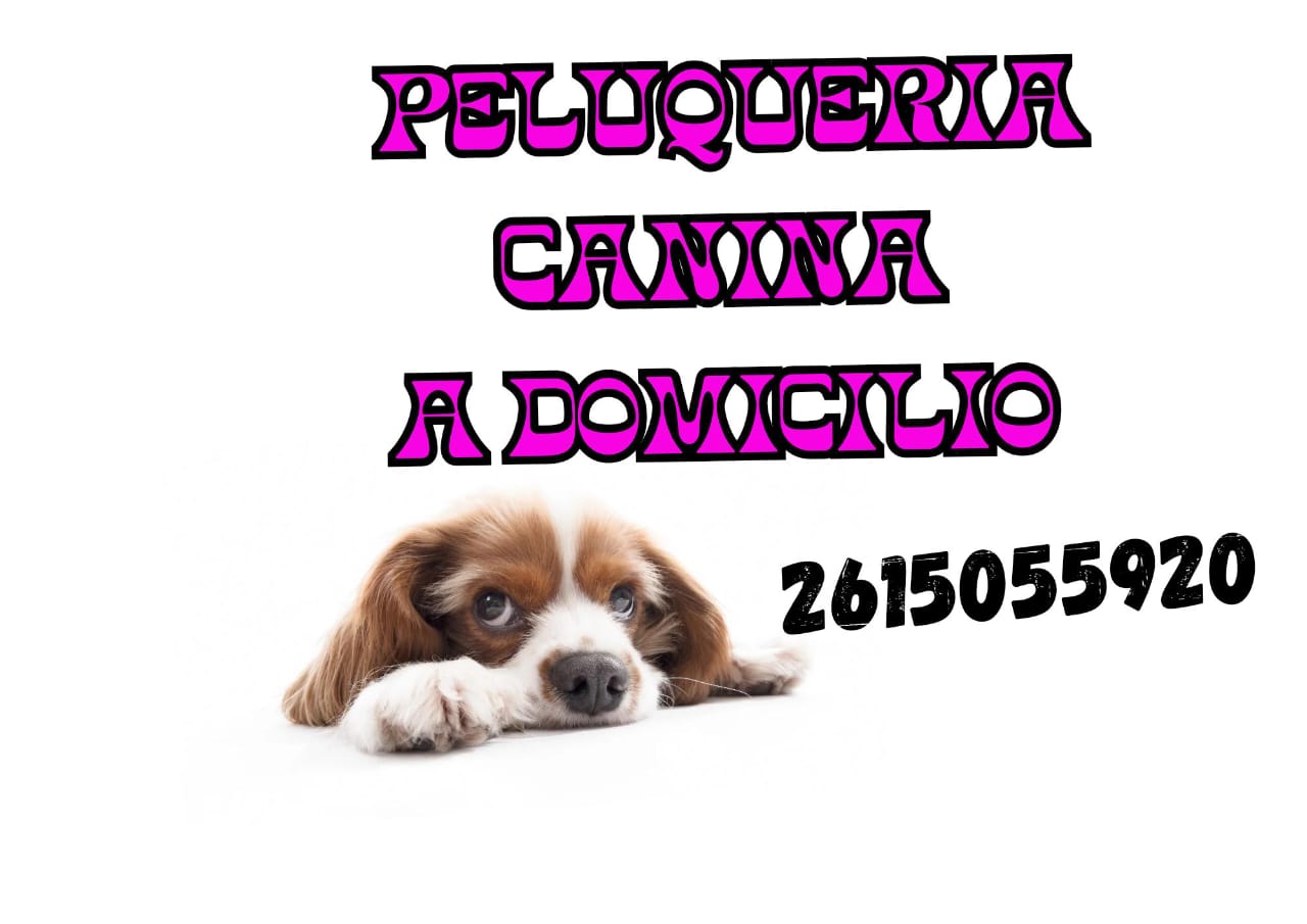 Peluquería Canina Sabrina