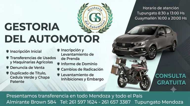 Gestoría del Automotor GS