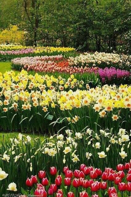 Jardinería Espinosa.